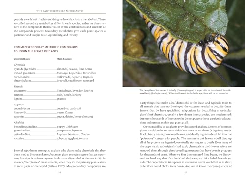 Bringing Nature Home: How You Can Sustain Wildlife with Native Plants, Updated and Expanded