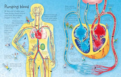 See Inside Your Body