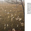 Next Time You See a Spiderweb