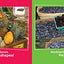 Go, Go, Grapes!: A Fruit Chant (Classic Board Books)