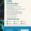 Oxford Read and Discover: Level 6: Cells and Microbes