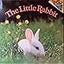 The Little Rabbit
