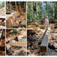 Hand Hewn: The Traditions, Tools, and Enduring Beauty of Timber Framing