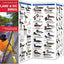 Maryland & DC Birds: A Folding Pocket Guide to Familiar Species (Wildlife and Nature Identification)