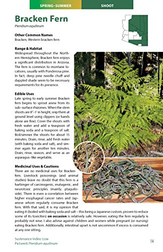 Wild Edible Plants of Arizona