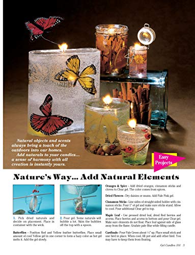 Gel Candles 101: Create Spectacular Clear Gel Wax Candles (Design Originals) Basic Instructions for Faux Drink Candles, Whipped Wax, Dessert Candles, Stained Glass Effects, Layering Colors, and More
