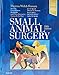 Small Animal Surgery
