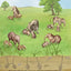 How the Piloses Evolved Skinny Noses (Evolving Minds)