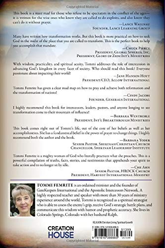 Invading the Seven Mountains With Intercession: How to Reclaim Society Through Prayer