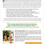 Raising a Healthy, Happy Eater: A Parents Handbook: A Stage-by-Stage Guide to Setting Your Child on the Path to Adventurous Eating