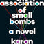 The Association of Small Bombs: A Novel