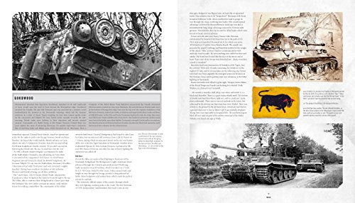 Tanks: The History of Armoured Warfare by Cross, Robin