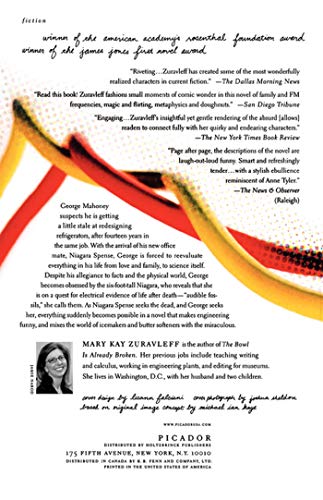 The Frequency of Souls: A Novel