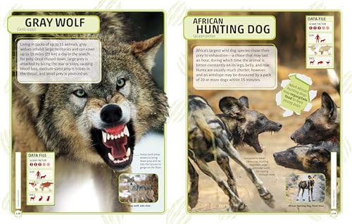 Nature's Deadliest Creatures Visual Encyclopedia (DK Children's Visual Encyclopedias)