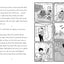 Nick and Charlie: A Solitaire Novella (A Heartstopper novell