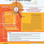 The Art of Game Design: A Book of Lenses by Schell, Jesse