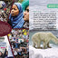 Climate Action: What Happened and What We Can Do