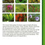 Handy Pocket Guide to Tropical Plants