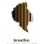 breathe.: a guided healing journal for black men