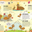 Discovering the Active World of the Anthill (Happy Fox Books) Board Book Teaches Kids Ages 3-6 about Ants, Digging More Deeply into a Hill with Every Page Turn - Fun Facts, Vocabulary Words, and More