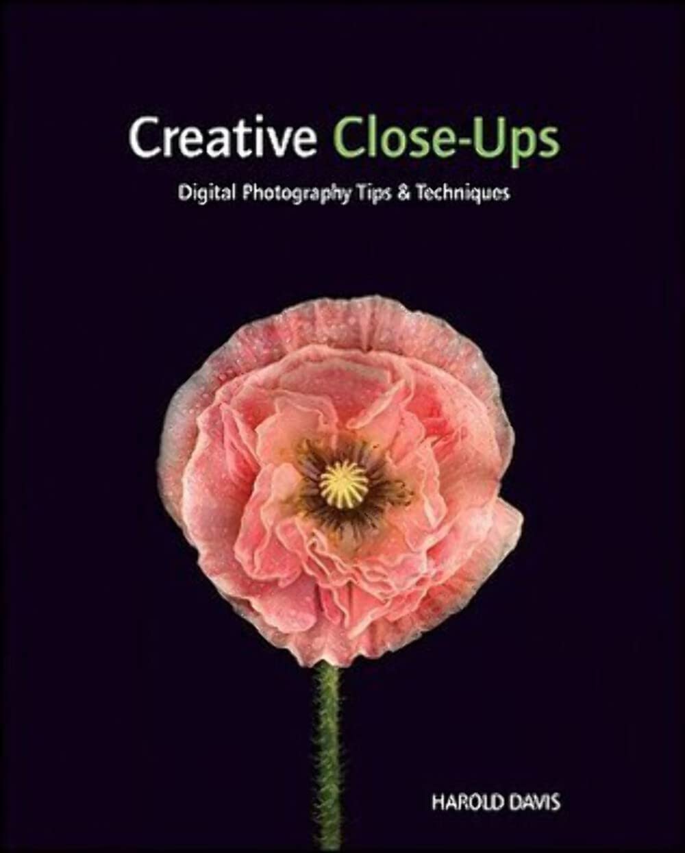 Creative Close-Ups: Digital Photography Tips & Techniques