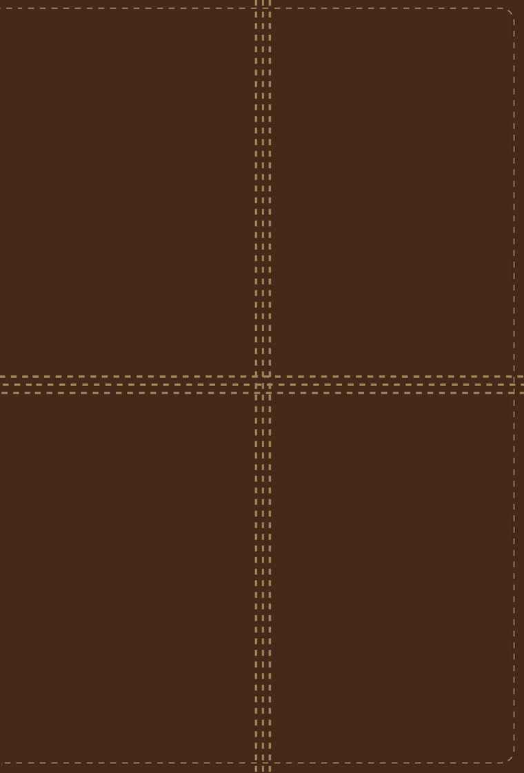 NIV/RVR60, Bilingual Bible, Leathersoft, Brown / NIV/RVR60, Biblia Bilinge, Leathersoft, Caf (Spanish Edition)