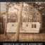 Dancing at Armageddon: Survivalism and Chaos in Modern Times