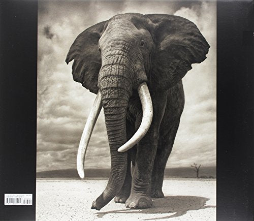 Across the Ravaged Land — back cover