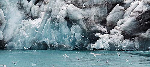 Southern Light: Images from Antarctica