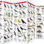 Arizona Wildlife: A Folding Pocket Guide to Familiar Animals (Wildlife and Nature Identification)