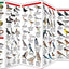 Nature of San Francisco & the Bay Area: A Folding Pocket Guide to Familiar Plants & Animals (Wildlife and Nature Identification)