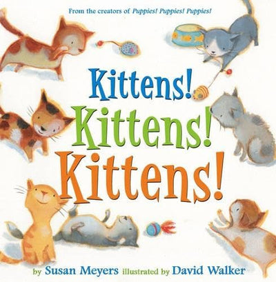 Kittens! Kittens! Kittens!