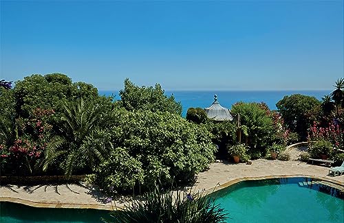 Inside Tangier: Houses and Gardens