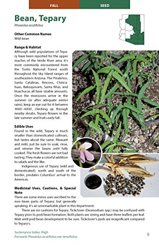 Wild Edible Plants of Arizona