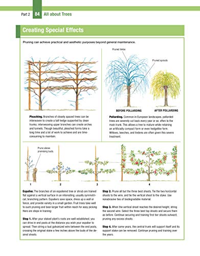 Trees, Shrubs & Hedges for Your Home: Secrets for Selection and Care (Creative Homeowner) 1,000+ Plant Descriptions and 550 Photos - Design Your Landscape and Enhance Your Outdoor Space (Landscaping)