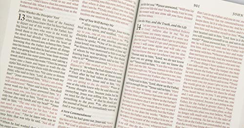 ESV Thinline Bible (TruTone, Charcoal, Crown Design)