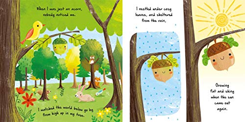 Stories of the Seasons: Nature Stories Collection by IglooBo