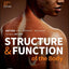 Study Guide for Structure & Function of the Body