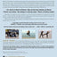 Advanced Krav Maga: The Next Level of Fitness and Self-Defense