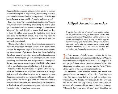 A Pocket History of Human Evolution: How We Became Sapiens