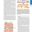 Guyton and Hall Textbook of Medical Physiology, 12e