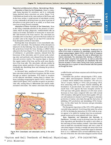 Guyton and Hall Textbook of Medical Physiology, 12e