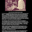 Morning Glory: A Biography of Mary Lou Williams