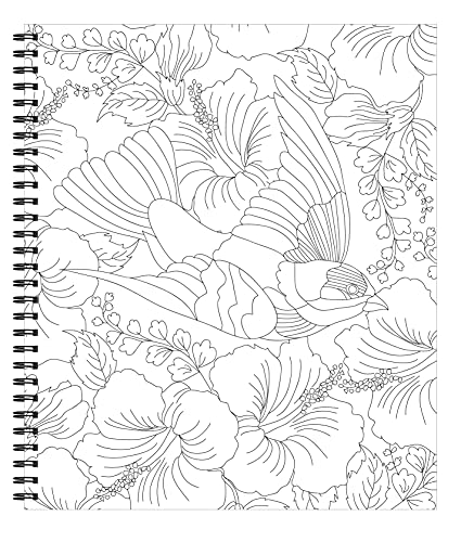 Large Print Easy Color & Frame - Birds (Stress Free Coloring Book)