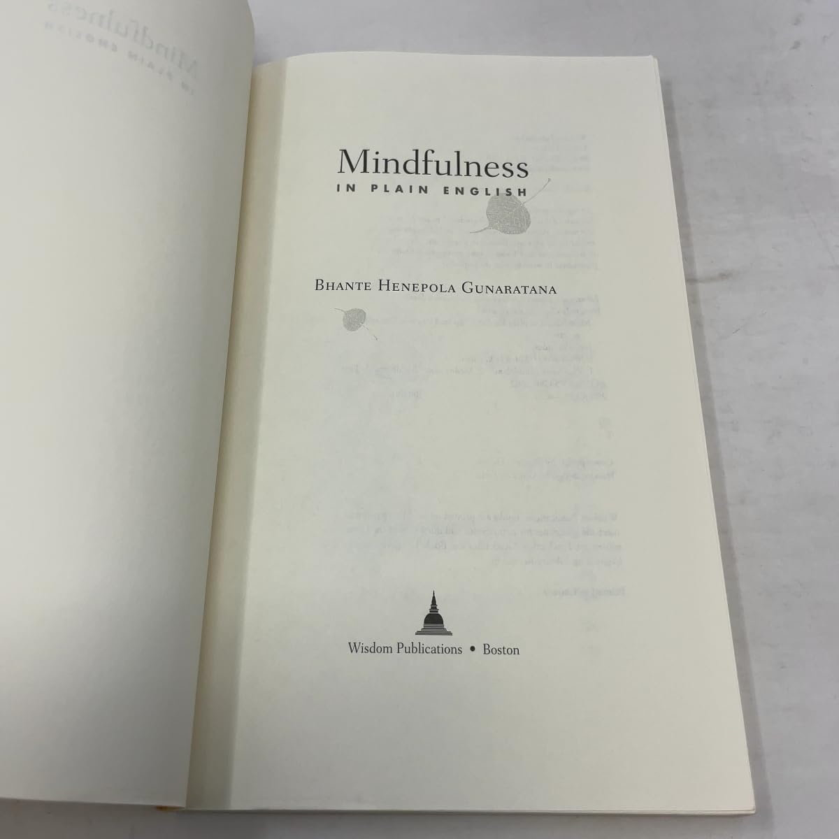 Mindfulness in Plain English: Revised and Expanded Edition