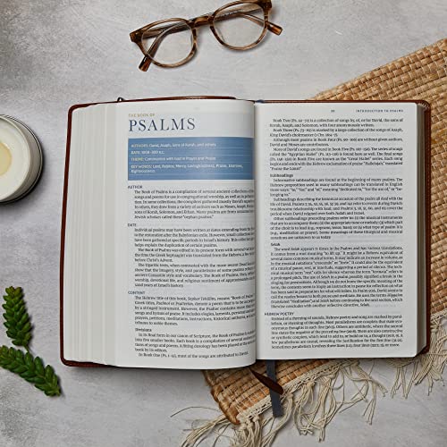 NKJV, Spirit-Filled Life Bible, Third Edition, Genuine Leather, Black, Red Letter, Comfort Print: Kingdom Equipping Through the Power of the Word