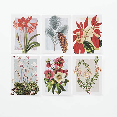 Winter Botanicals: Note Cards and Envelopes: Set of 12 (New York Botanical Garden)