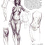 Figure Drawing: Design and Invention by Michael Hampton