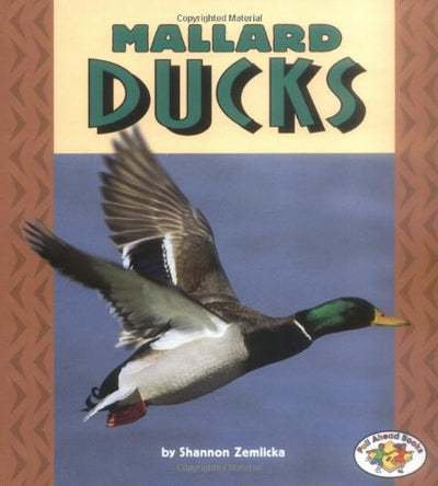 Mallard Ducks (Pull Ahead Books)