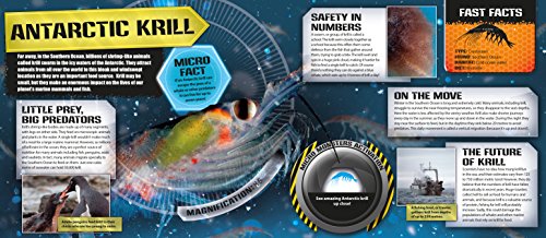 Micro Monsters: Activate Augmented Reality Minibeasts! (iExplore)